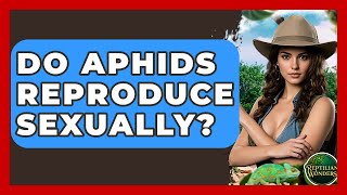 Do Aphids Reproduce Sexually  Reptilian Wonders