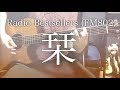 【弾き語りコード付】栞 / Radio Bestsellers (FM802)【フル歌詞】