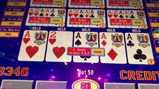 $40,000 Jackpot 🤑 Triple Double Bonus. $50 a Pull. Video Poker. Buffalo Creek Casino. Dealt 4 Aces.