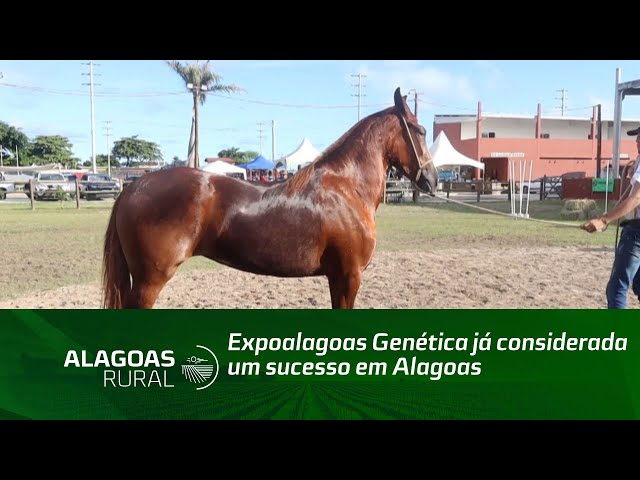 Expoalagoas Genética já considerada um sucesso em Alagoas