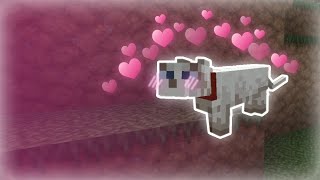 Taming a CUTE KITTY!! | Minecraft HC #1
The start of a brand new series: Minecraft Hardcore Survival! In this video I manage to tame a really cute cat, and I also manage to do a lot of other things: mainly being dont die! Hardcore means you cant afford to die, because if you do, everything youve ever worked for is lost forever!
Thanks for watching the video! (:
LINKS BELOW
⇩ TEXTURE PACK USED ⇩
https://www.planetminecraft.com/texture_pack/default-32x32/
⇩ SHARE MY CHANNEL ⇩
http://bit.ly/2vUgnHc
⇩ ANOTHER RANDOM VIDEO ⇩
https://youtu.be/9dYObeIUT_o
⇩ JOIN MY DISCORD SERVER ⇩
https://discord.gg/RYH7u2B
⇩ MUSIC USED ⇩
https://youtu.be/6H4GwnoLEks
PROGRAMS USED
•Sony Vegas Pro 16 Edit for Editing Software
•NVIDIA GeForce for Screen Capturer/Recorder
Have a good day, and be sure to like the video to show that you enjoy the content Im making! Taming a CUTE KITTY!! | Minecraft HC #1