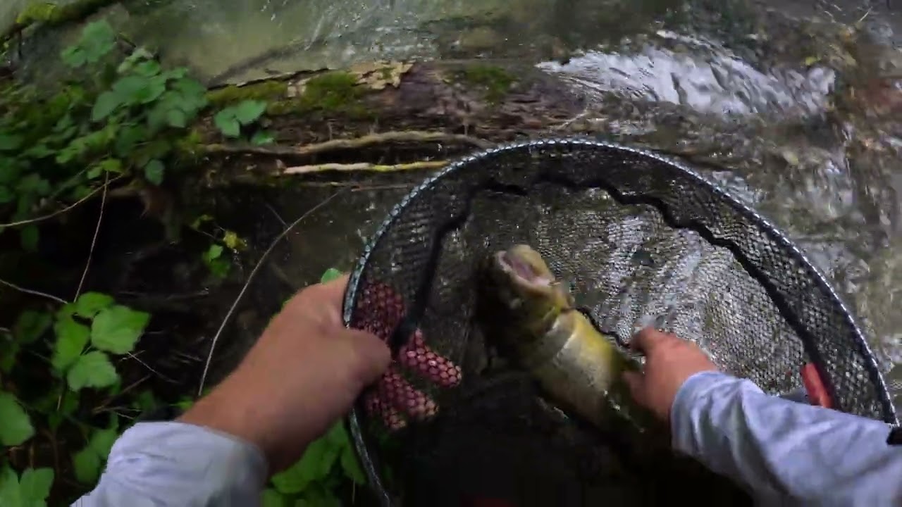 Pescuit la pastrav ep. 13