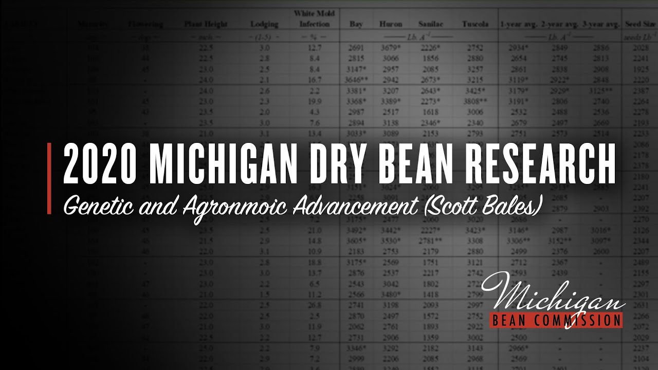 Introduction to 2020 Research on Michigan Beans conducted by Scott Bales