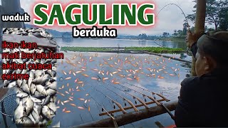 Nekat mancing di situasi ikan sedang mabuk dan hasilnya  di luar dugaan