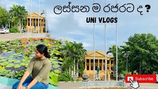 වැස්ස ට ලස්සන වෙන අපේ කැම්පස් එක| Rajarata University of Sri Lanka |Uni Vlog | Divya Munasinghe