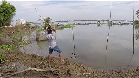CÂU CÁ THÁC LÁC CƯỜM ( CÁ NÀNG HAI ) | NGÀY THỨ 4 SĂN CÁ THÁC LÁC