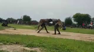 Lual Matiop Chol (Bor) vs Abhor Achuei (Aliab)