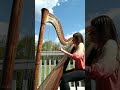 You Needed Me💕 (harp cover)