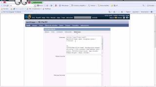 Borrar Visitas Del Hi5