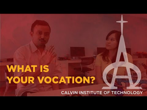 CIT - WHAT IS YOUR VOCATION?