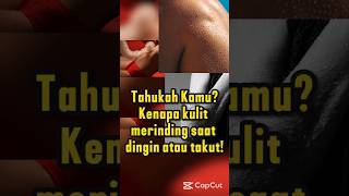 Merinding Ternyata Ini Alasan Kenapa Bulu Kuduk Kita Berdiri 