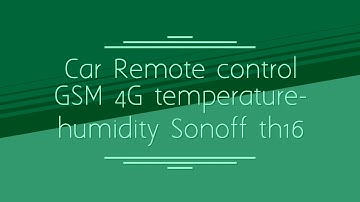 Remote control heater hydronic D4W D5W from iPhone app Sonoff  VW T4 Multivan Eurovan California