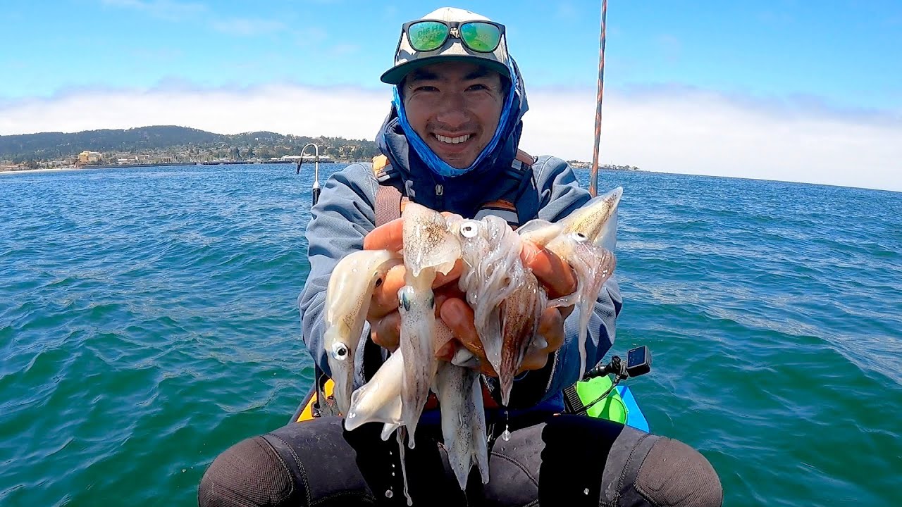 How Many Squid Can I Catch YouTube How Many Squid Can I Catch YouTube