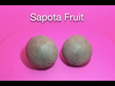 Βίντεο: Sapota λευκό