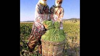 seni sevmek bir memleketi sevmekti