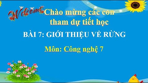 Bài 7: Giới thiệu về rừng-Môn Công nghệ 7, bộ sách KNTTVCS - Nguyễn Thị Hiên