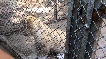 Công viên nước Củ Chi 05/06/2015 - 5