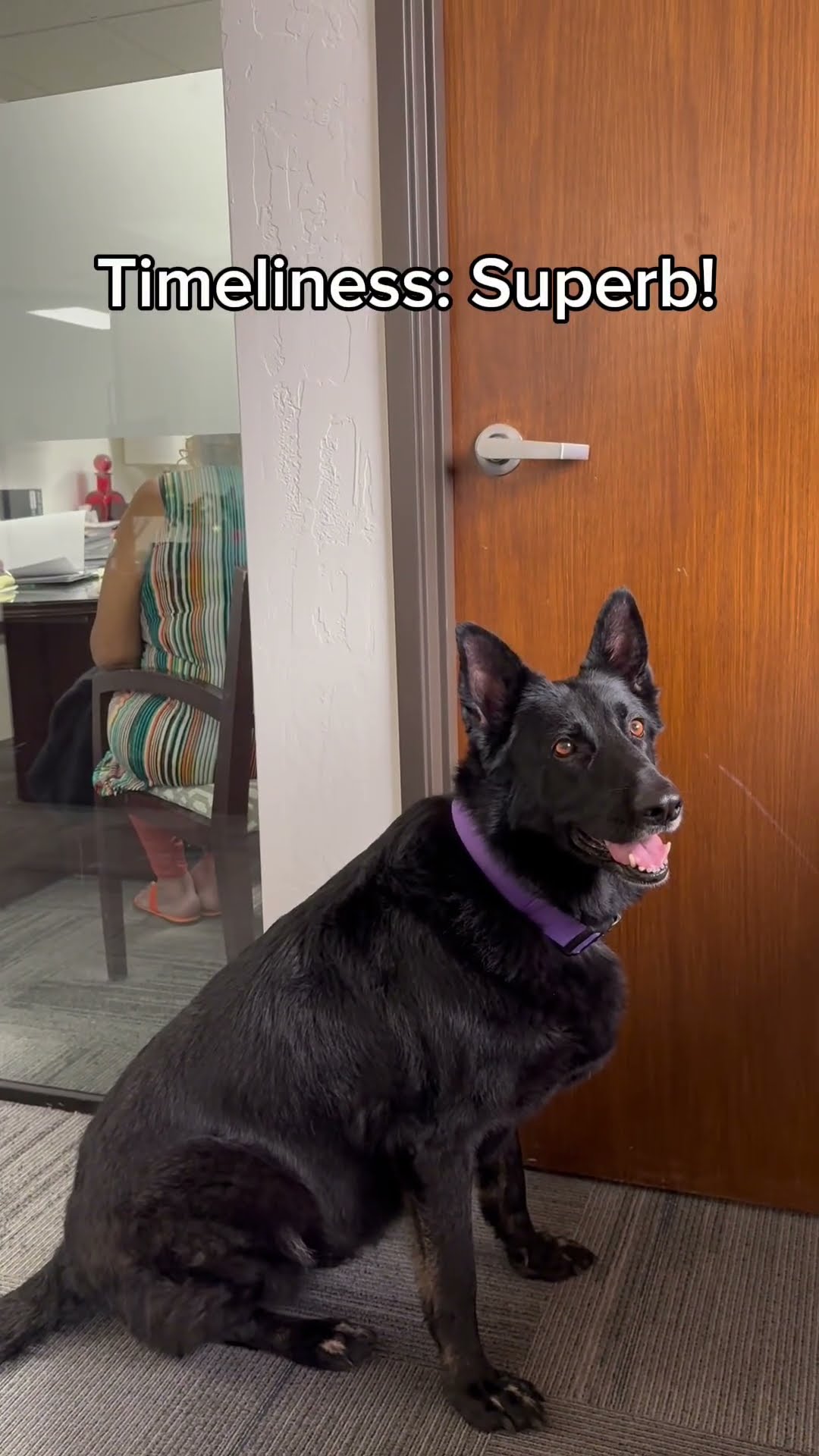 Onyx's Performance Review!