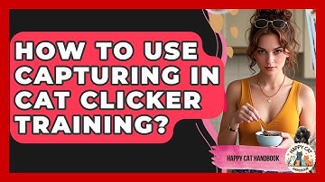 How To Use Capturing In Cat Clicker Training? - Happy Cat Handbook