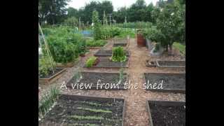 Allotment - Lottie Plot Four - June 2009 update