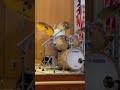 Angel Vivaldi - a Martian Winter (drum cover)