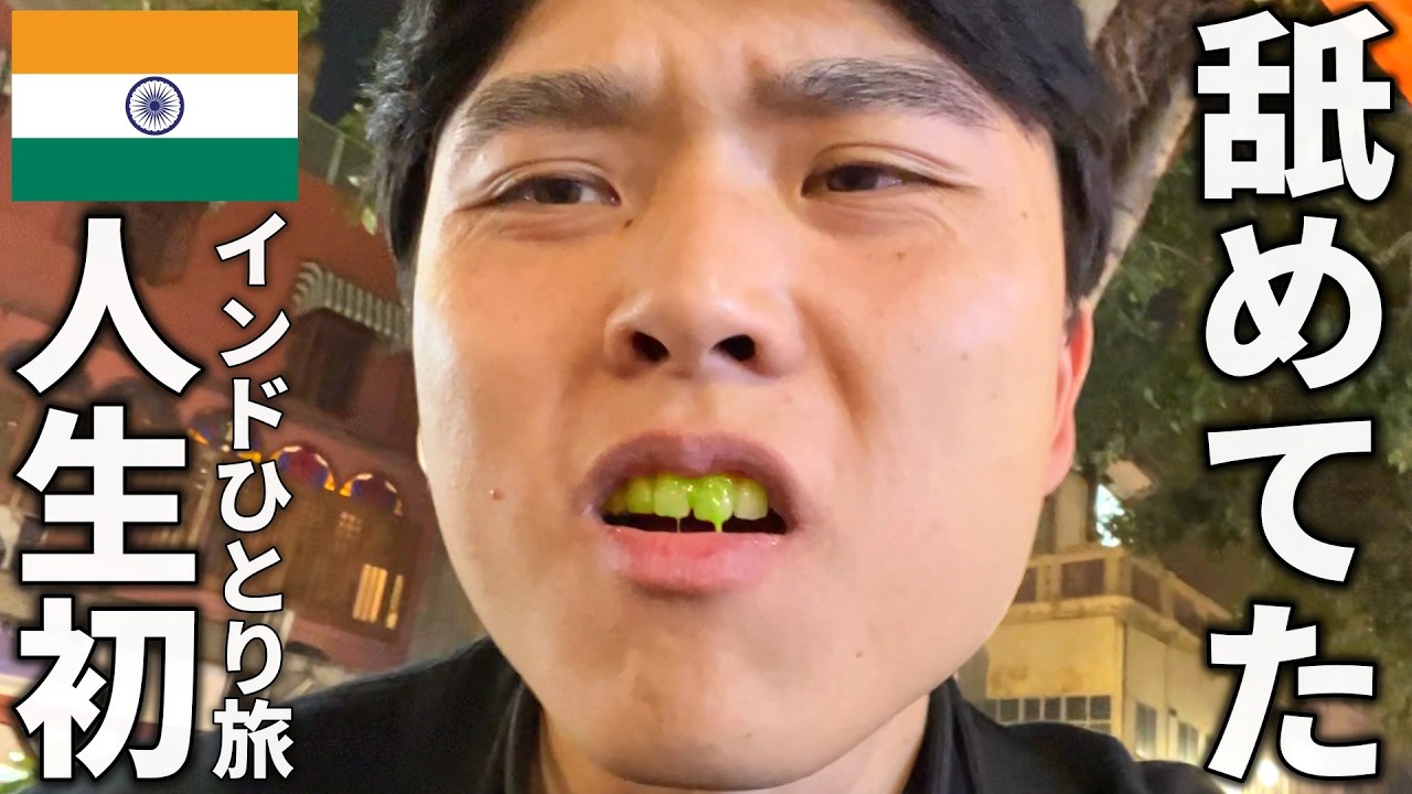 【絶望】初めて1人でインドに行ったら詰んだ...【デリーひとり旅】