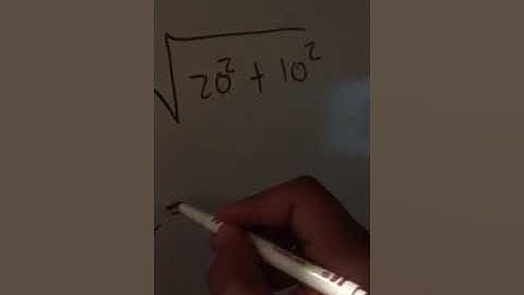 vector   recorrido de una persona