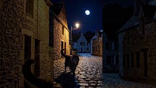 A peaceful village life with a curious little cat. Nature, simplicity, and happiness in one frame.