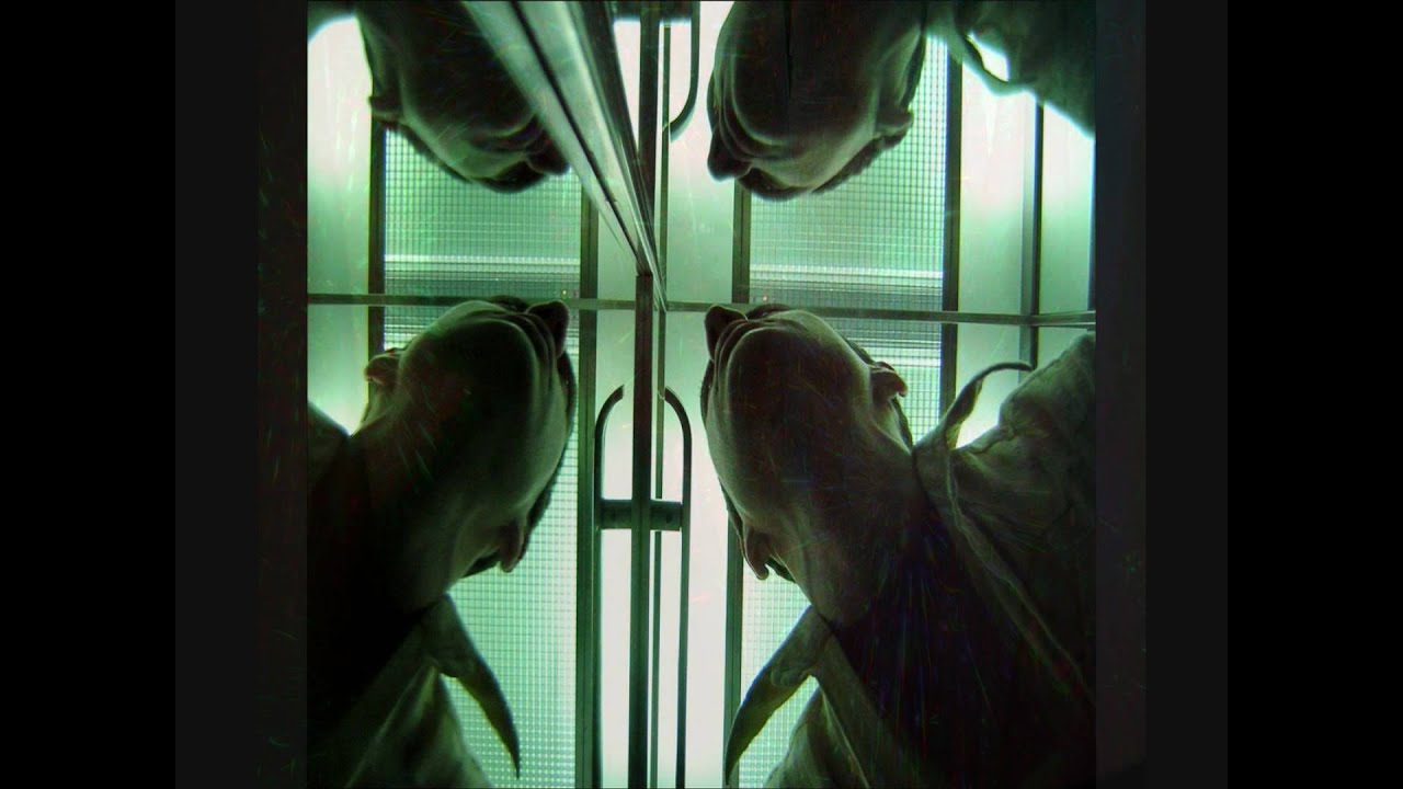 Esem - Perpetual State Of Moseley