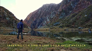 Dove si trova Valle Anzasca?