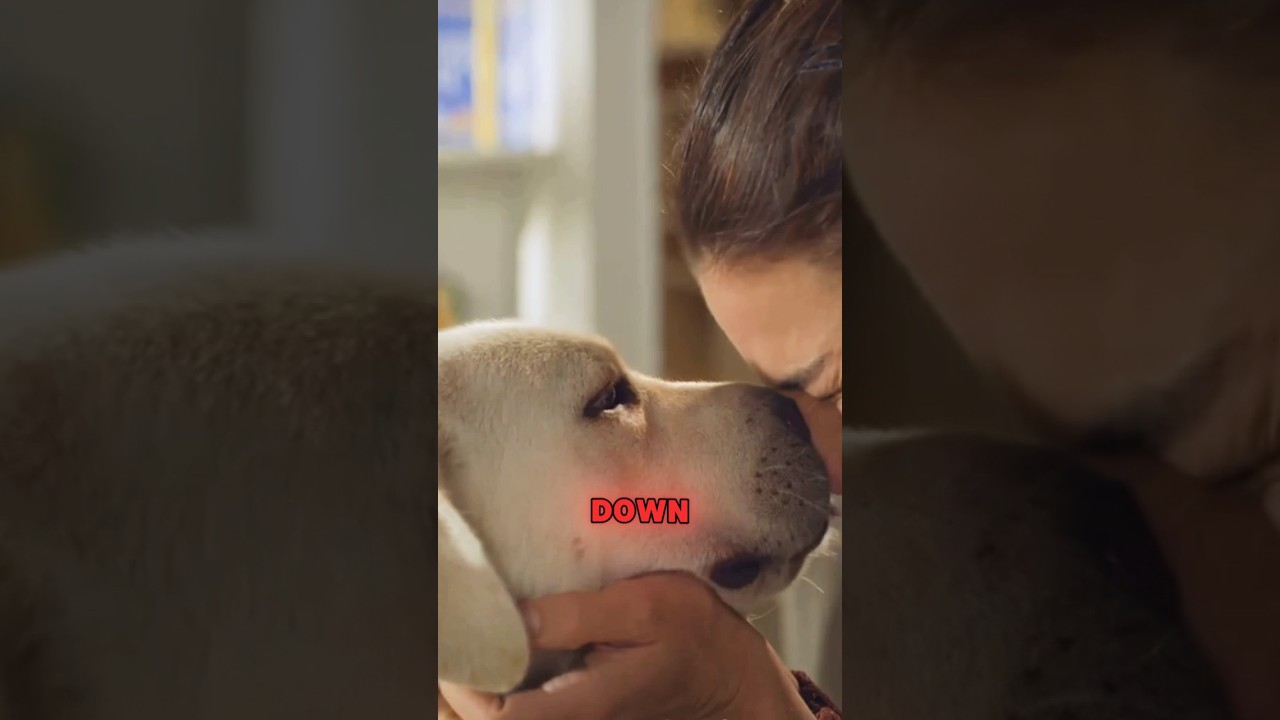 Heroic Rescue: Sparky's Storm Drain Escape! 