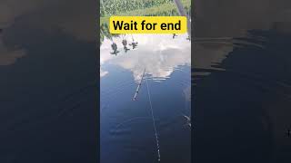 Hook  fishing|cat fish |fish catching short|fishing  hook_fishing  hookfishingvideos@RE-49.