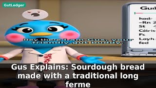 Gus Explains: Sourdough bread made with a traditional long ferme | Gut Health Tips