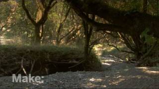 Maker Profile - Watershed Sculptures on Make: television