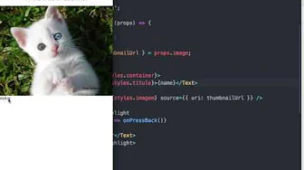 cursos/0003-pesquisa-de-imagens-react-native: Implementação do Botão de Voltar para a Lista de Resultados – Navigator Pop