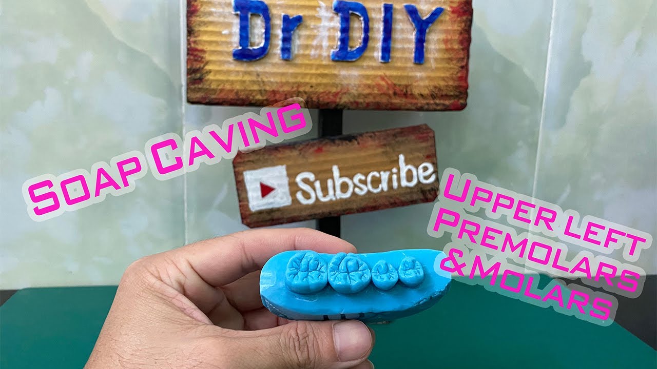 Soap Carving on Maxillary arch (Upper left Jaw)/ Dental art on LUX Soap