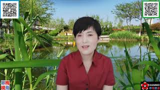 20200516-2【一代潮牌，几代人的青春记忆，在中国凄惨离场】【寒梅视角】