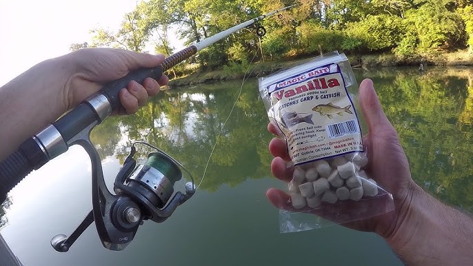 Fishing Basics: Using dough baits and dip baits 