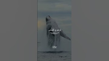 القرآن الكريم | سوره الأنبياء | القارئ أشرف إمام #القرآن_الكريم #لاحول_ولا_قوة_الا_بالله #الحمدلله