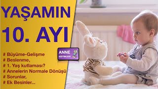 Yaşamın 10.  Ayı ( Uyku Sorunları, Büyüme-Gelişme, Ek besin, Kutlama  )