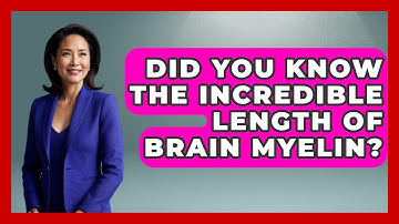 Did You Know The Incredible Length Of Brain Myelin? - Brain Development Hub