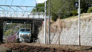 560列車　EF66 121号機牽引　清見寺通過