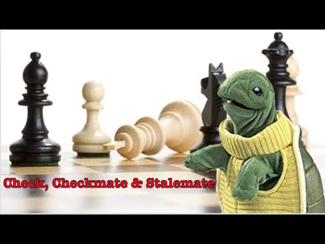 mate in 3 – Daily Chess Musings