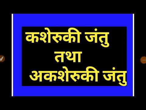 वीडियो: कशेरुकी जीव जंतु क्यों होते हैं?