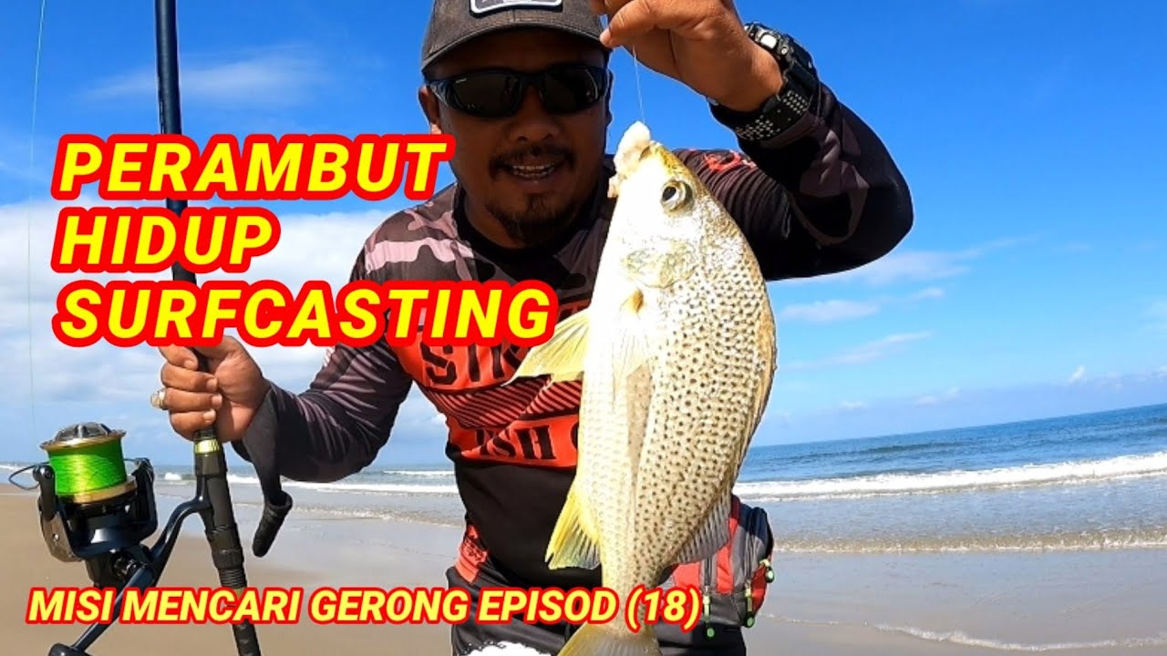 CARA MEMBUAT PERAMBUT HIDUP SURFCASTING
