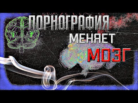 КАК ПОРНОГРАФИЯ МЕНЯЕТ МОЗГ | Удивительный факт | Просвещенный