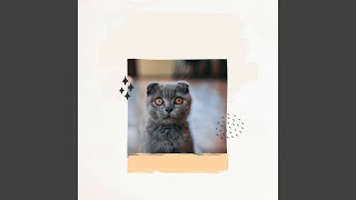 Alluring Music for Impression