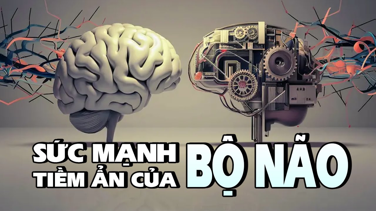 Outline Video BỘ NÃO CON NGƯỜI VÀ NHỮNG SỨC MẠNH TIỀM ẨN ĐẰNG SAU