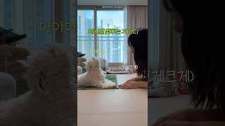 교감왕이죠?💗
