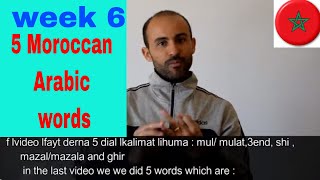 Moroccan Arabic weekly words. week 6 + examples screenshot 2